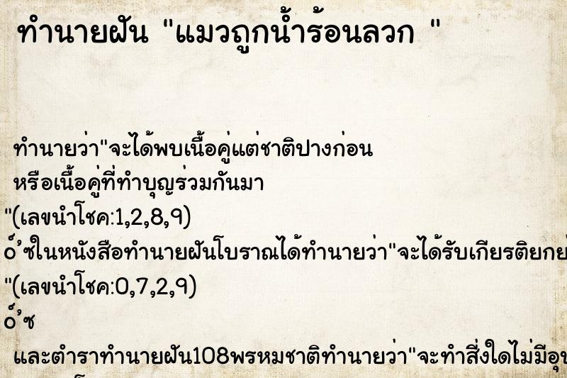 ทำนายฝัน แมวถูกน้ำร้อนลวก 